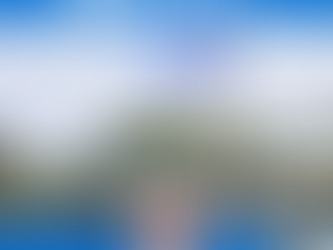 Yap State Court,  Month of February 2026: Traffic Citation