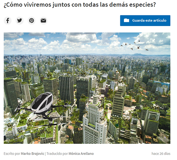 articulo.PNG
