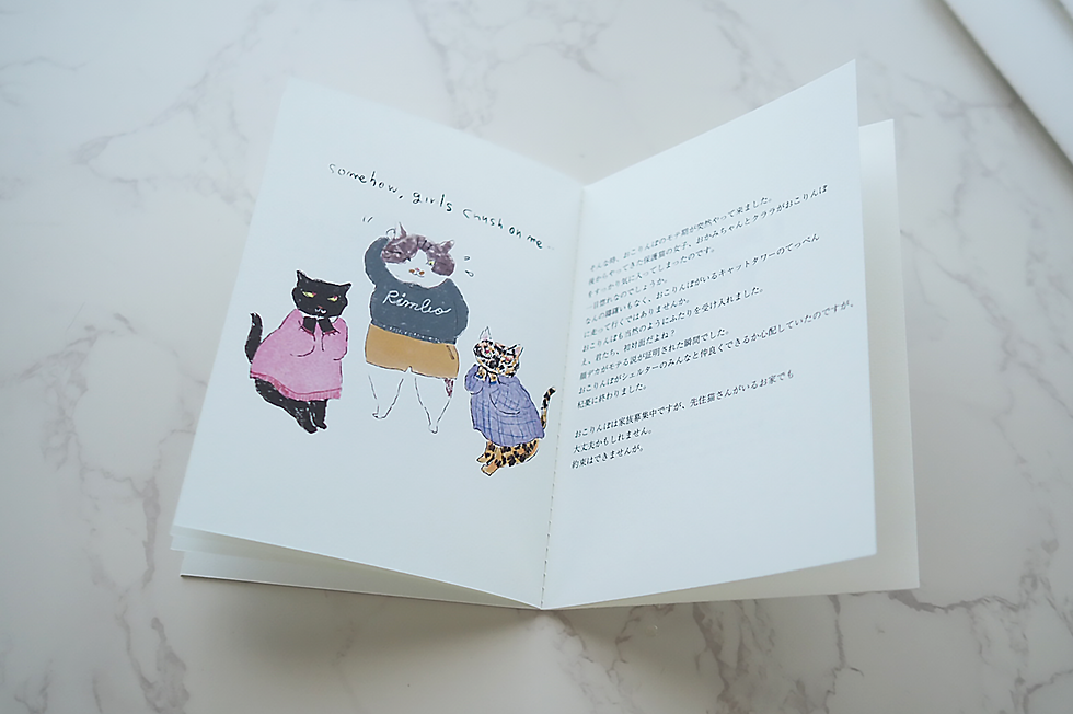 サムネイル： OKORINBO THE CAT（おこりんぼ）｜ZINE / illustrated by yumi imamura