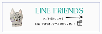 LINE FRIENDS (1).png