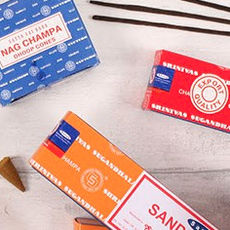 cones and sticks.jpg