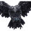 Thumbnail: Dark Feather Owl Wall Plaque 55cm