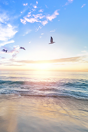 포스터 이미지.png