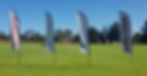 Promotional Flags