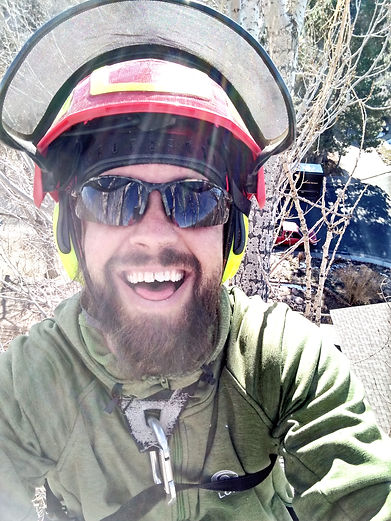 Tree, Arborist