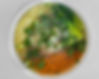 Pho Vegetable (vegan)