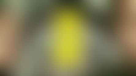 'Over Your Dead Body' Review