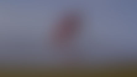 'The Chronology of Water' Interview