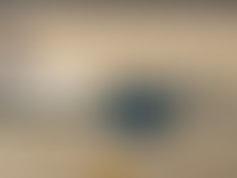 'Government Cheese' Review