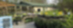 300+ native trees, shrubs, perennials, and more