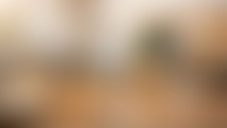 Ultimate Guide to Customer Feedback for Brand Strategy