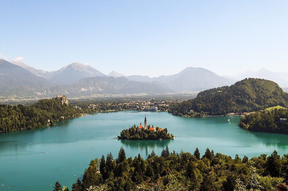 the top 10 expat friendly companies in Slovenia