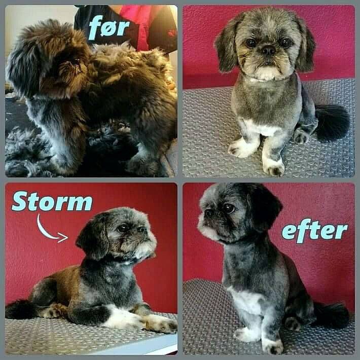 Storm - kort klip