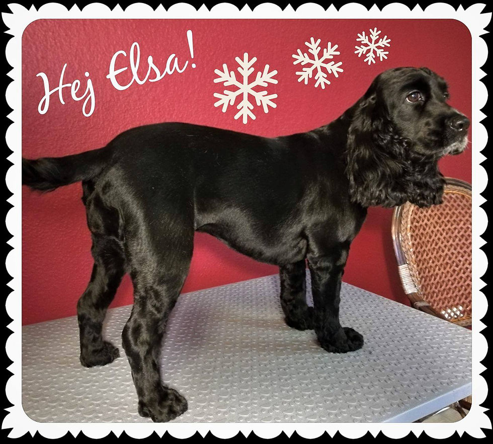 Elsa - wellness-pakke