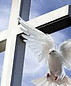 Cross and Dove.jpg