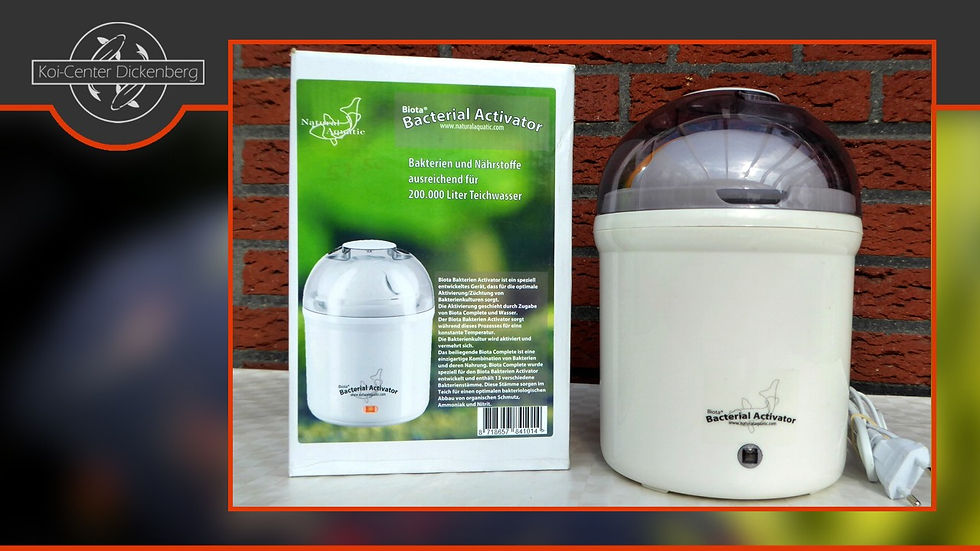 8-Quart Digital Air Fryer