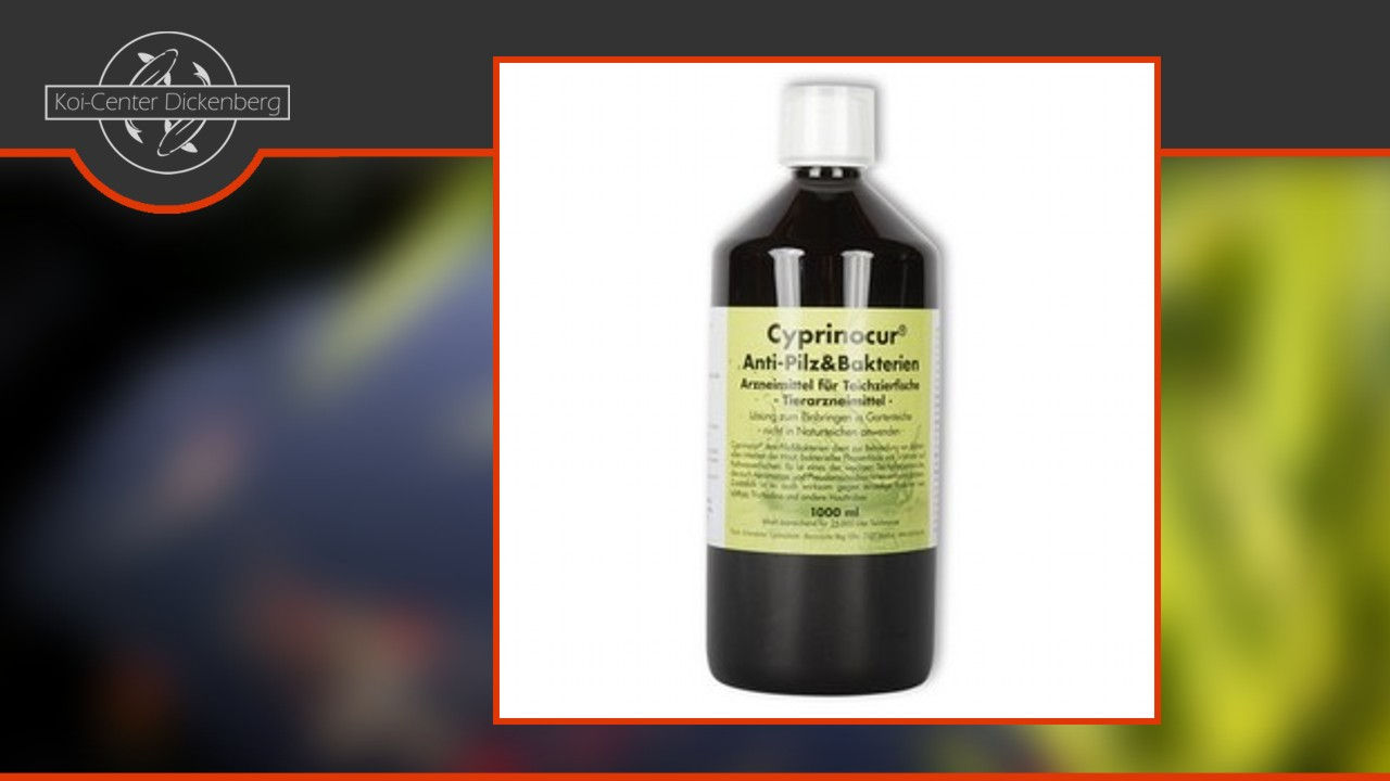 Cyprinocur – Anti-Pilz und Bakterien