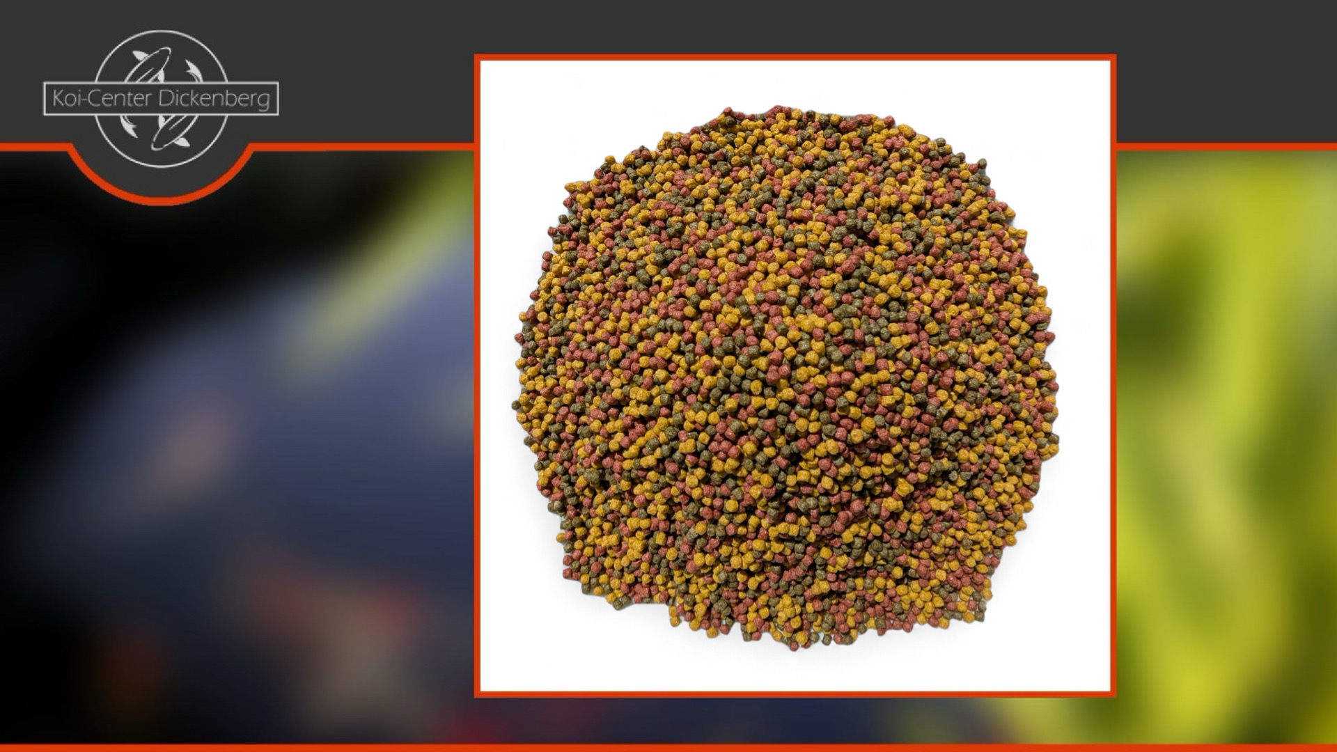 Allround - Mix 3mm, Koi-Futter