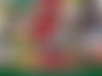 2º PRO BIKE SHOP XCO MOVIMENTA O SÁBADO EM ITAPEMA.