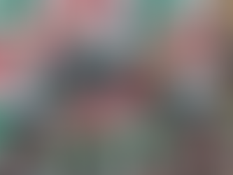 VALCEMAR JUSTINO É VICE-CAMPEÃO DA 10ª ETAPA DO CATARINENSE DE CICLISMO