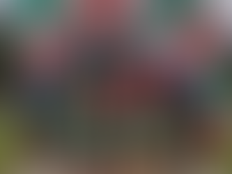 LUCAS VIEIRA CONQUISTA O SEGUNDO LUGAR NO XCO BEIRA RIO