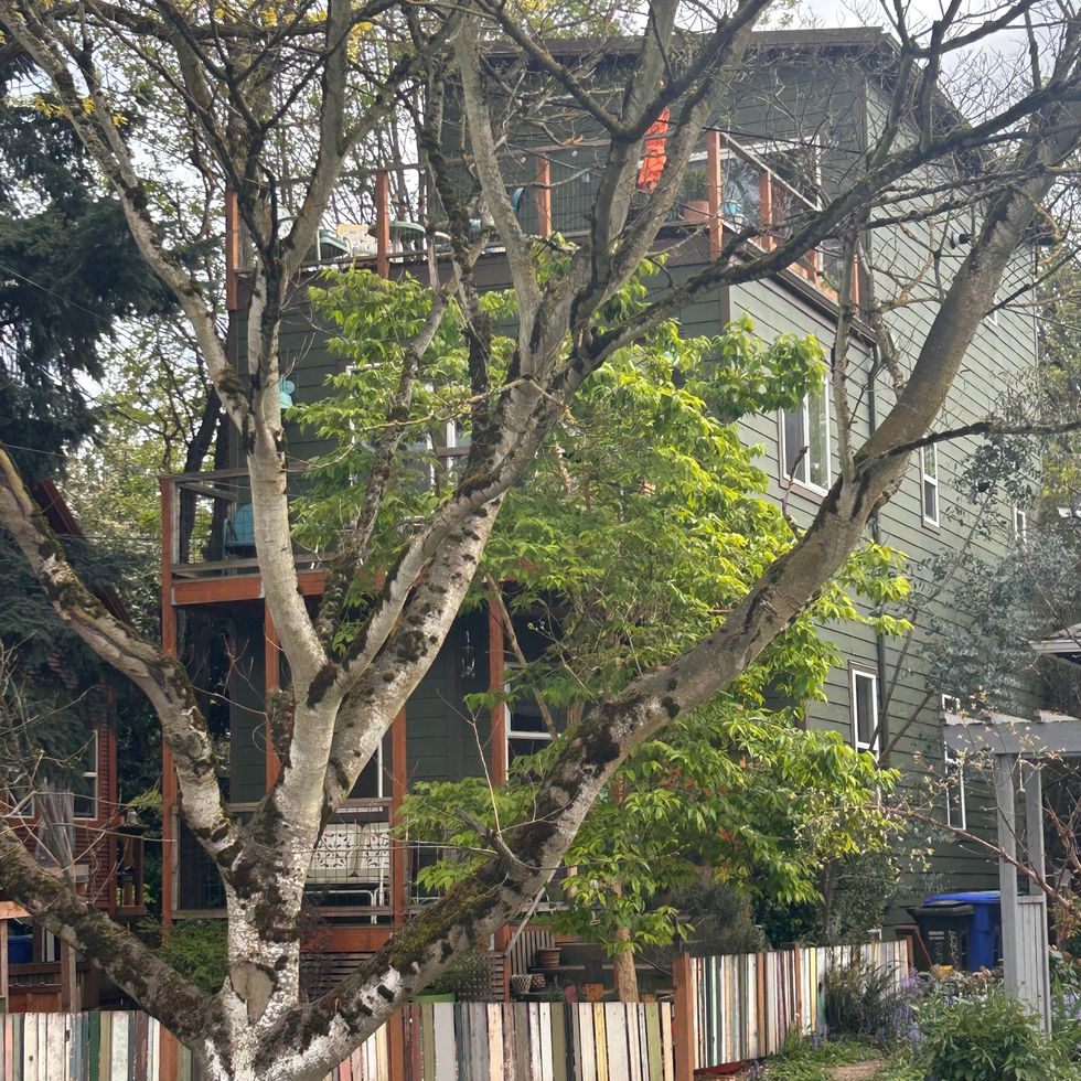 Hilton Residence
