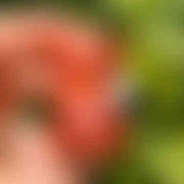 95D4CBD7-F681-4491-9379-EC6DB087686D