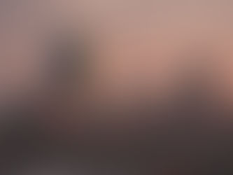 Sprout expands to Boston