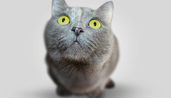 sumner-mahaffey-7Y0NshQLohk-unsplash_edi