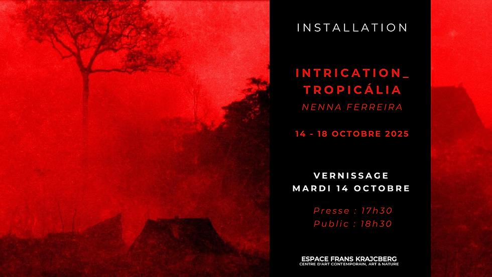 [VERNISSAGE] INTRICATION_TROPICÁLIA par Nenna Ferreira