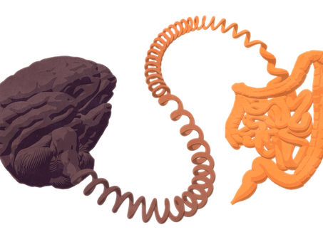 Employee Wellness: The Gut’s Impact on Mental Health