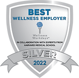 SilverAward-2022_150 (1).png