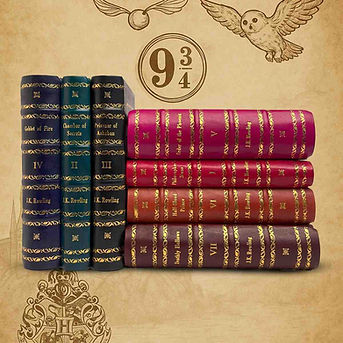 imgi_7_9781408856772_MS_b (1).webp