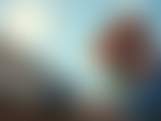 What Do Comprehensive Home Inspection Services Include?