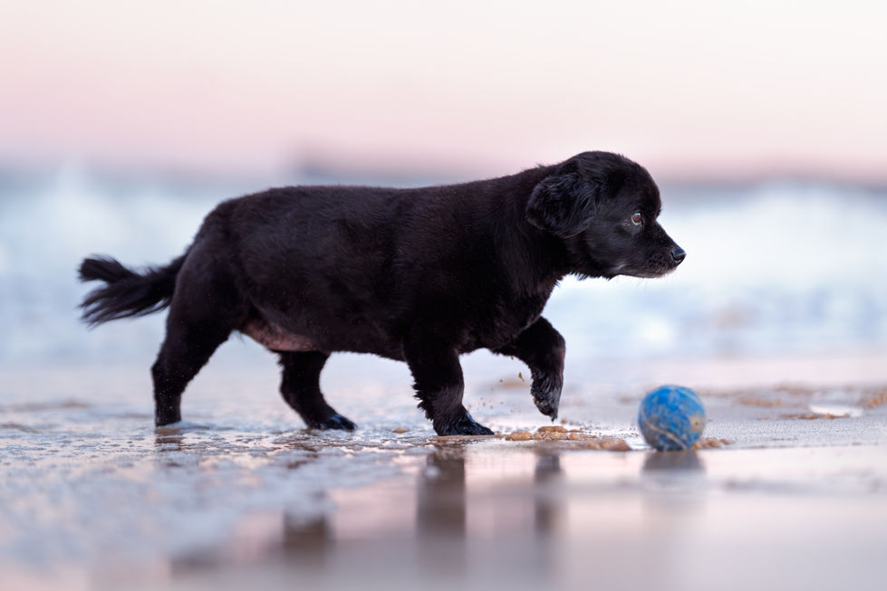 DSC05838-Edit-Edit-Edit