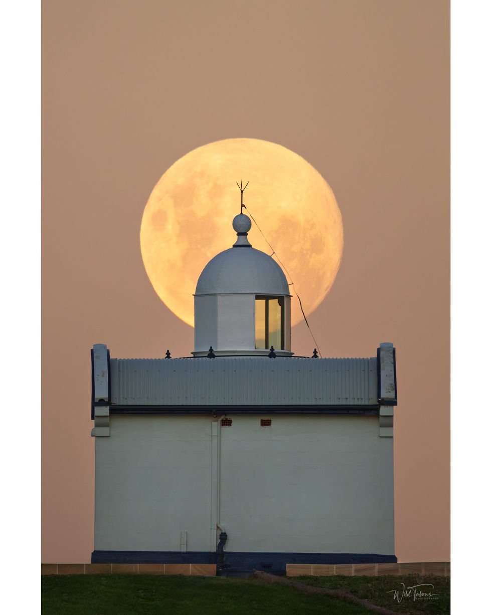 517121211_122191528622284603_1066661015274069787_n