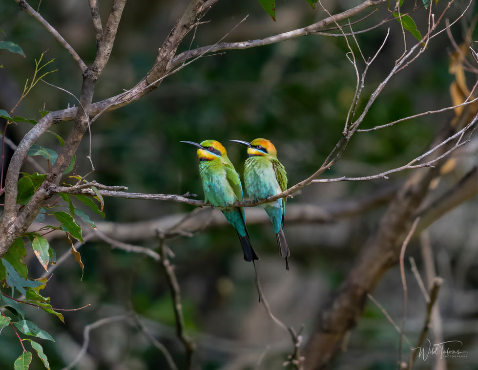 485767442_122174418554284603_7183509583080818022_n