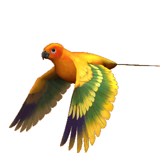 flying-bird.gif