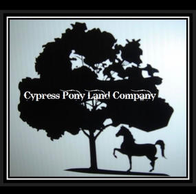 Cypress Pony Land Co.jpeg