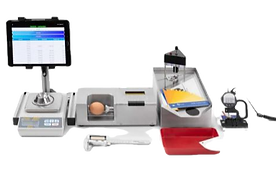 NUESTRA DISTRIBUCION EXTENDIDA - BROERIN