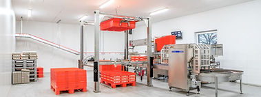 NUESTRA DISTRIBUCION EXTENDIDA - MEGGSON.JPG