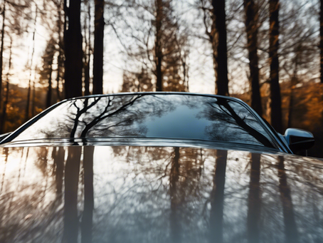 Unleash the Shine: Mobile Detailing Services in Louisa VA