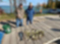 Torch-Lake-Perch-Fishing.jpeg