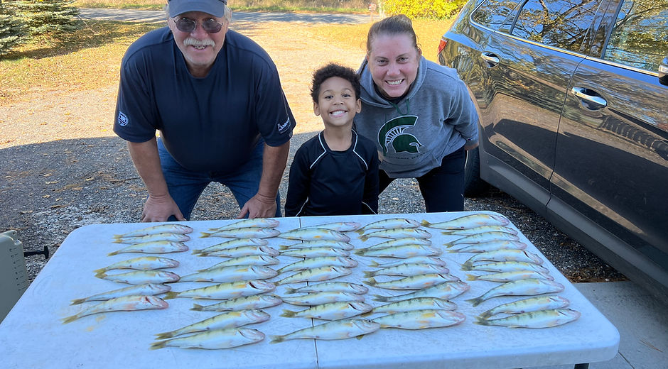 perch-fishing-trips.jpeg