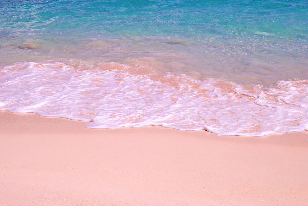 DSC_0184.jpeg