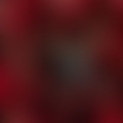 الموسم الخامس من "Money Heist" "laca sa de paple": تاريخ إصدار Netflix وتفاصيل الحبكة