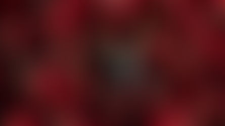 الموسم الخامس من "Money Heist": تاريخ إصدار Netflix وتفاصيل الحبكة