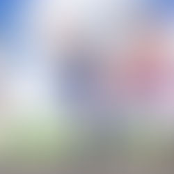 سيعود "Fruits Basket" للموسم الأخير في عام 2021