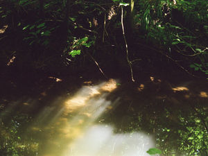 Photographie de la lumière passant à travers l'eau d'une rivière
