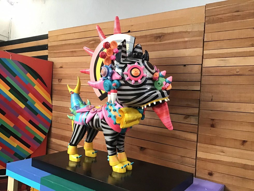 xico xolotl (2).HEIC